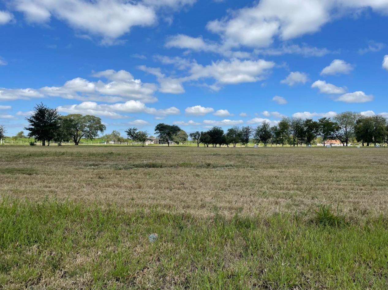Terreno en la arbolada