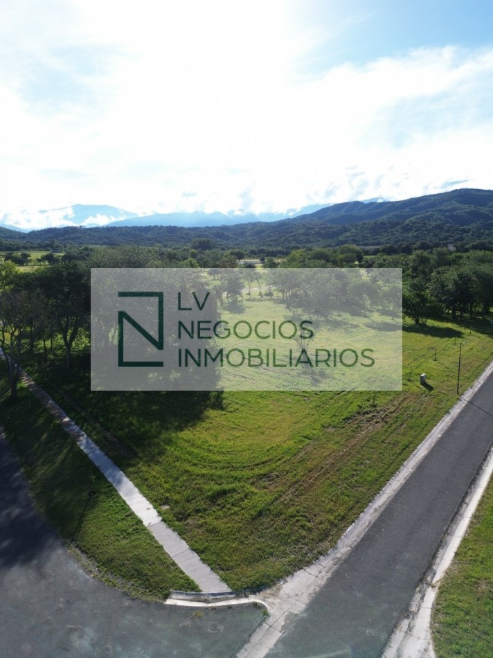 Terreno Arbolada