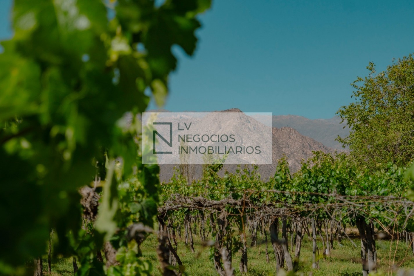 DEPARTAMENTO EN CAFAYATE 1 DORMITORIO