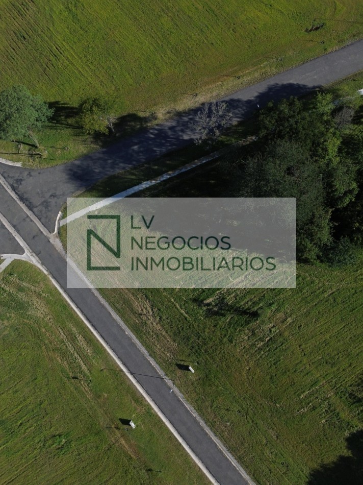 Terreno Arbolada