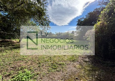 Terreno Castellanos